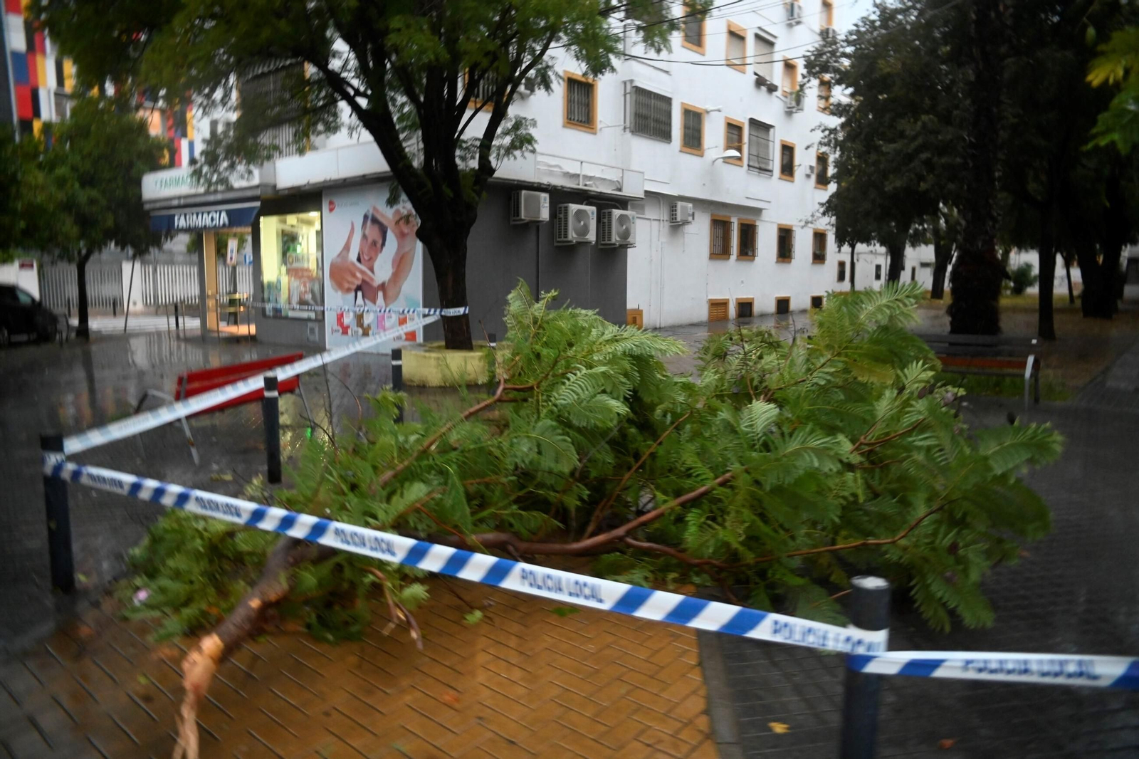 Las imágenes de los daños causados por el fuerte viento en el Sector Sur en Córdoba