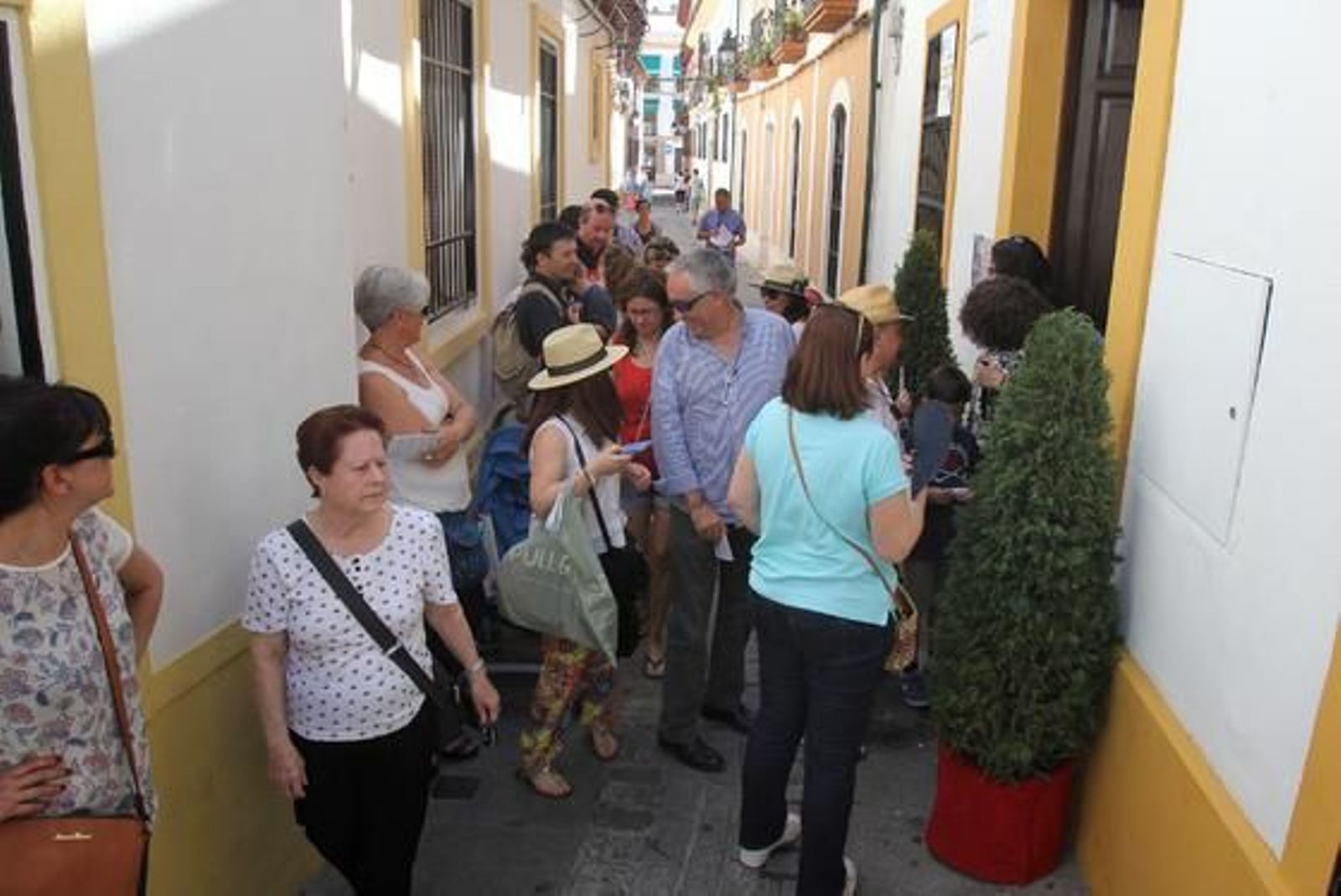 Foto: José Martínez