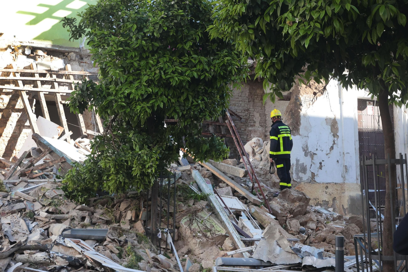 Derrumbe en Jerez de una casa en el barrio de San Miguel