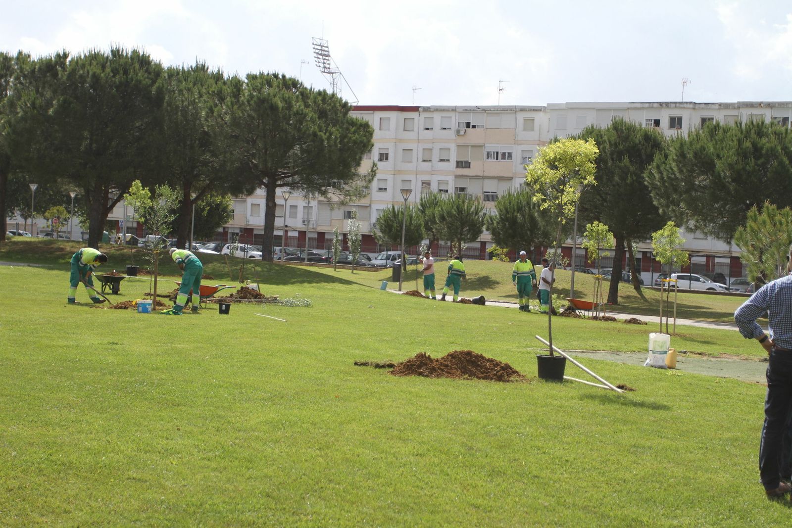 Trabajos de reforma en el parque Antonio Machado.
