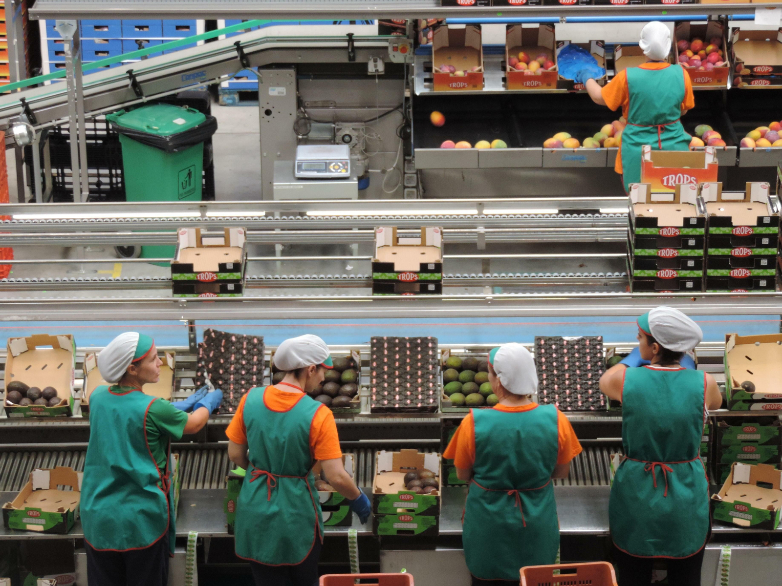 Línea de producción.