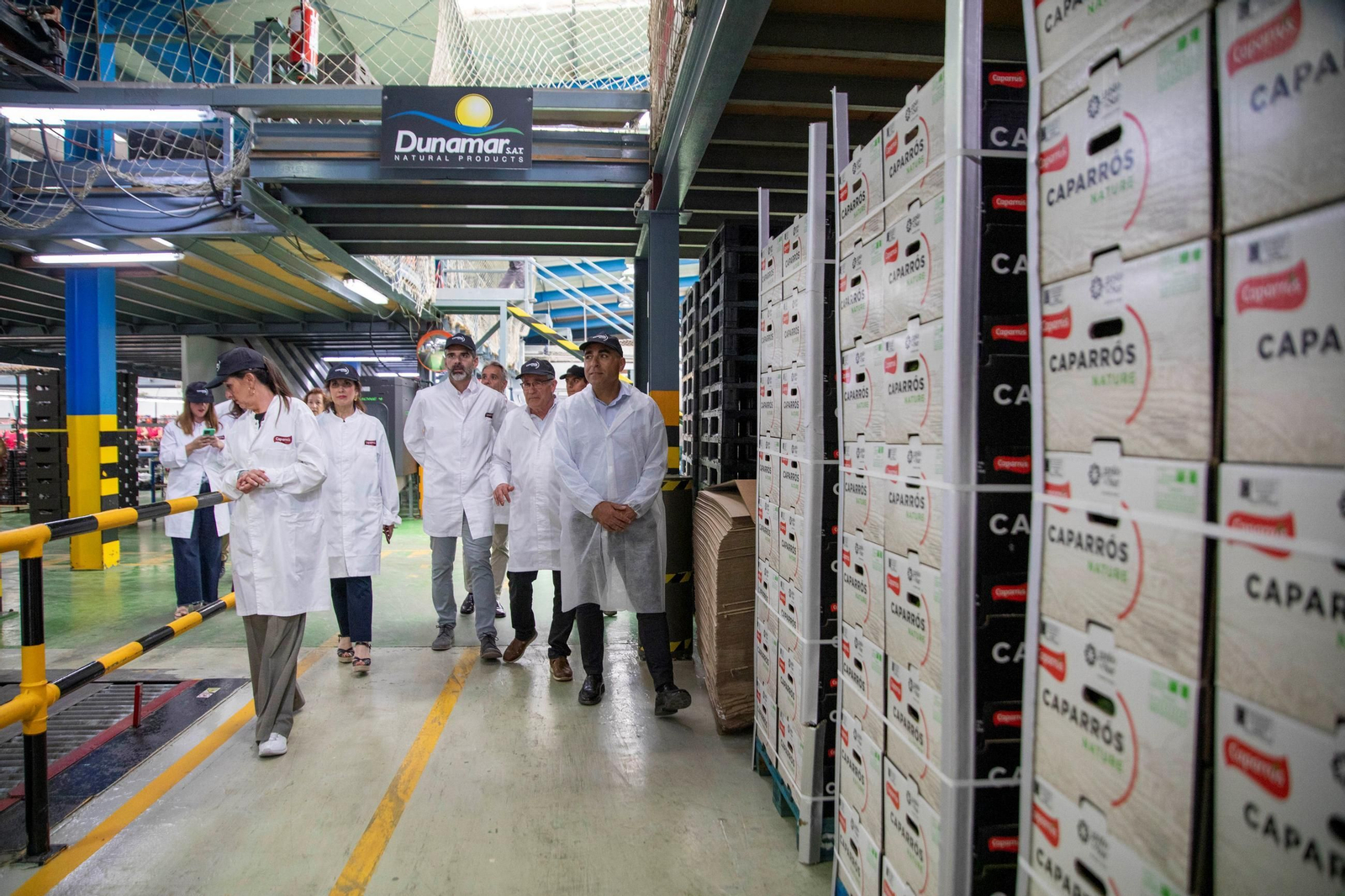 Vea cómo es el trabajo con las fantásticas sandías Premium en Grupo Caparrós