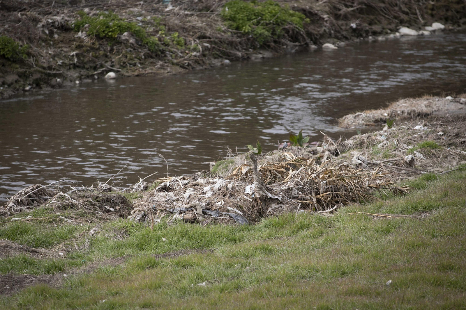 Fotos del 'cementerio' de toallitas que se acumula junto al río Genil en Granada