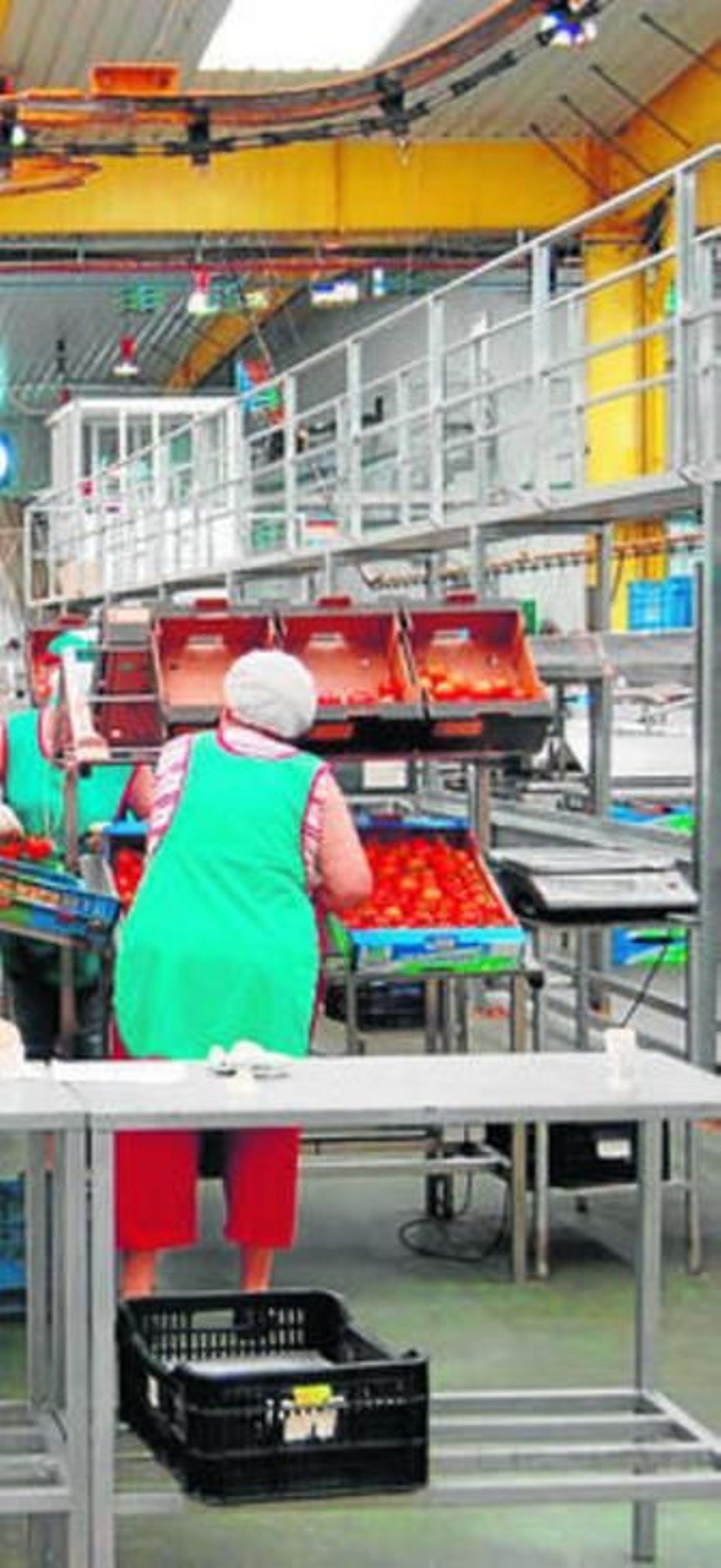 En principio la medida afectará sólo  a los productos perecederos.