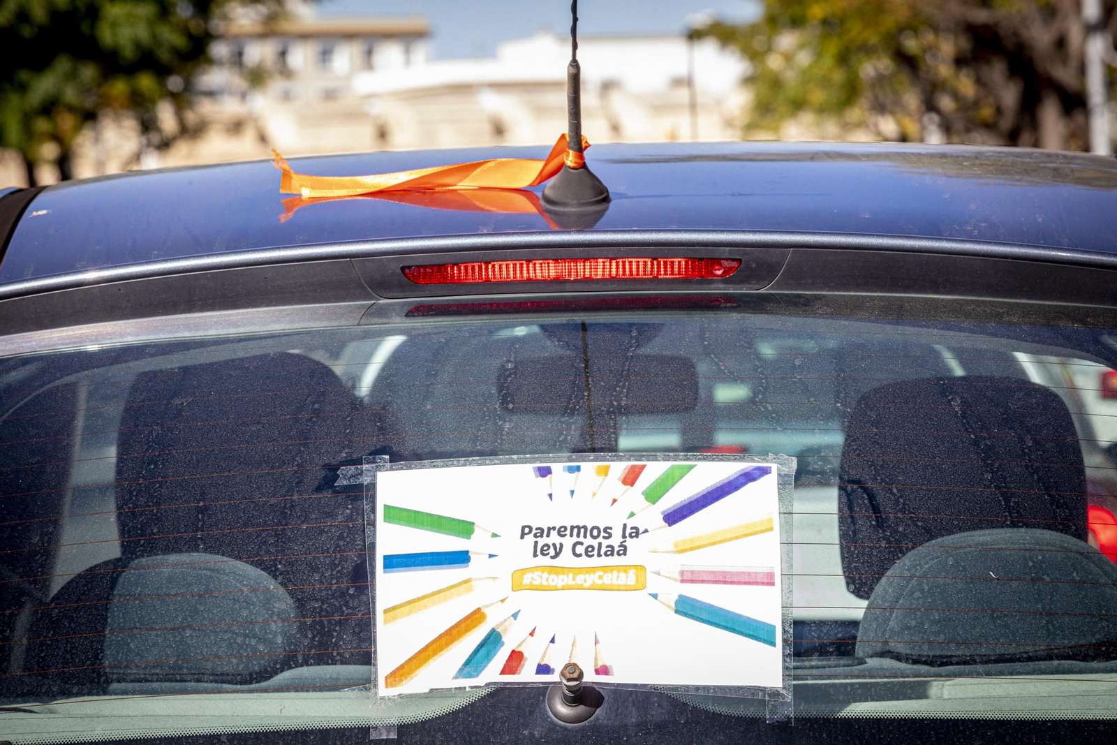 Imágenes de la caravana de coches en Cádiz contra la Ley Celaá
