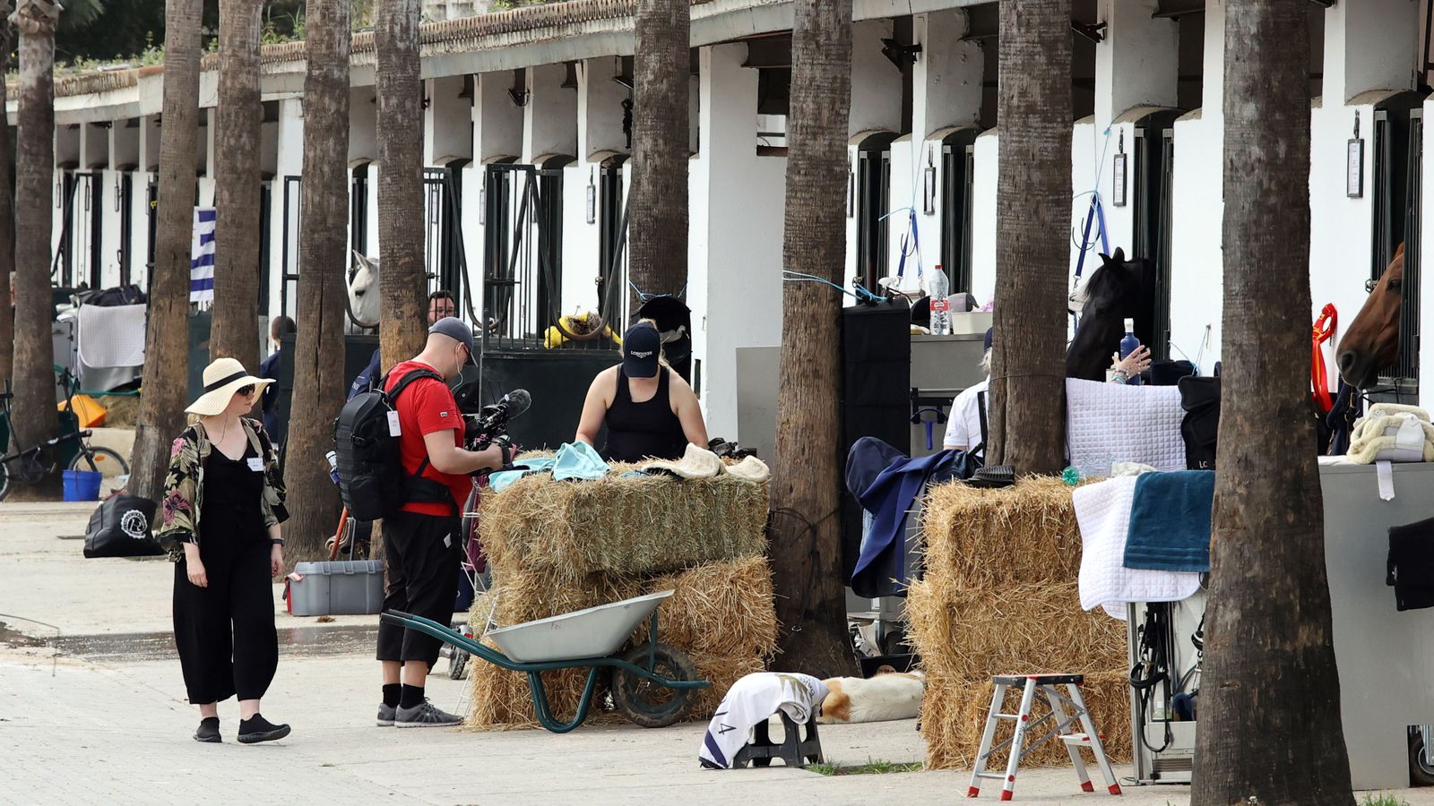 El Concurso Internacional en la Real Escuela Ecuestre, en imágenes