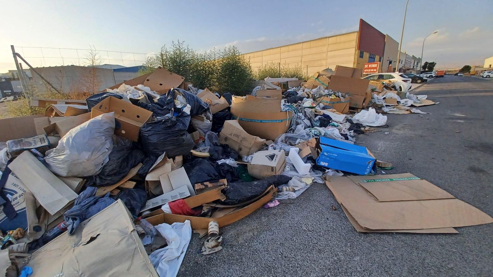 Metros y metros de vertidos junto a la nave de Seur en el polígono industrial.