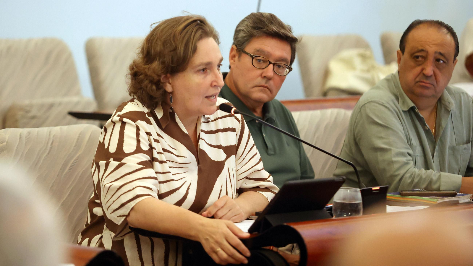La delegada de Urbanismo, Belén de la Cuadra, durante el pleno de este 25 de julio. La delegada de Urbanismo, Belén de la Cuadra, durante el pleno de este 25 de julio.