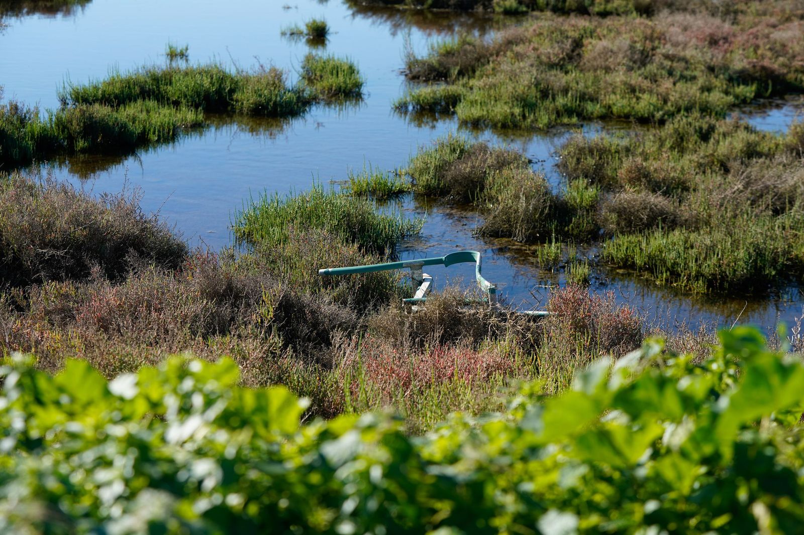 Fotos de la contaminación en el paraje natural marismas del Río Palmones