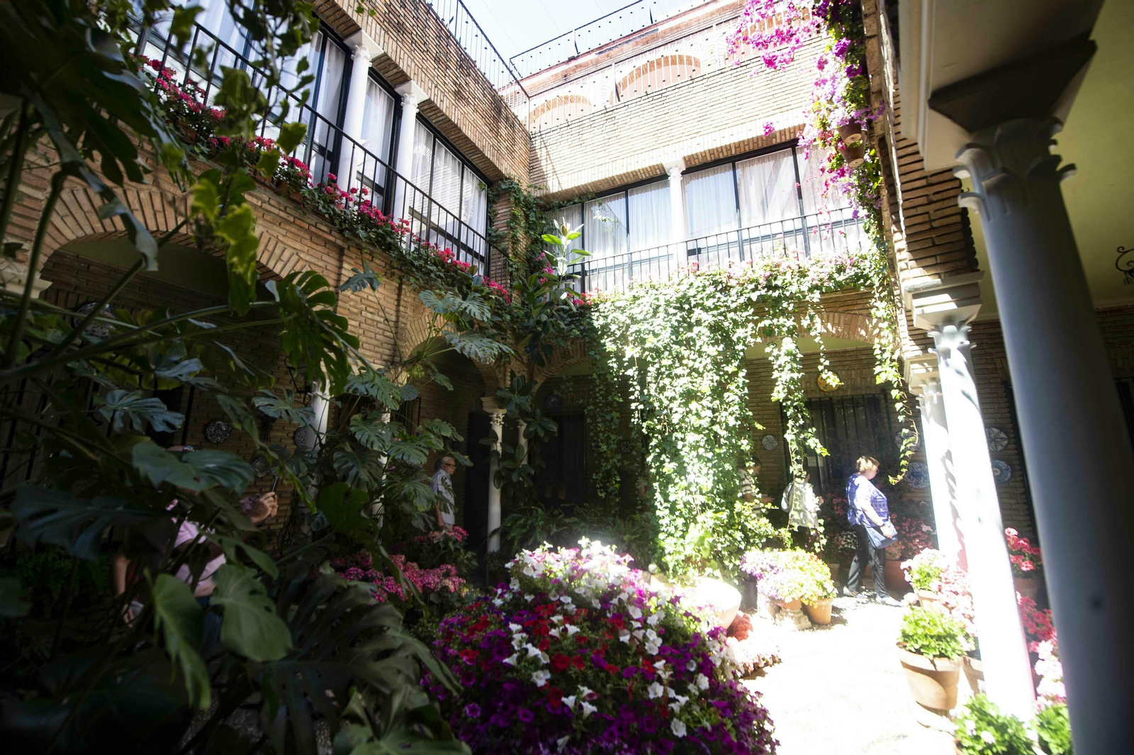 RUTA DE PATIOS JUDERÍA-SAN FRANCISCO