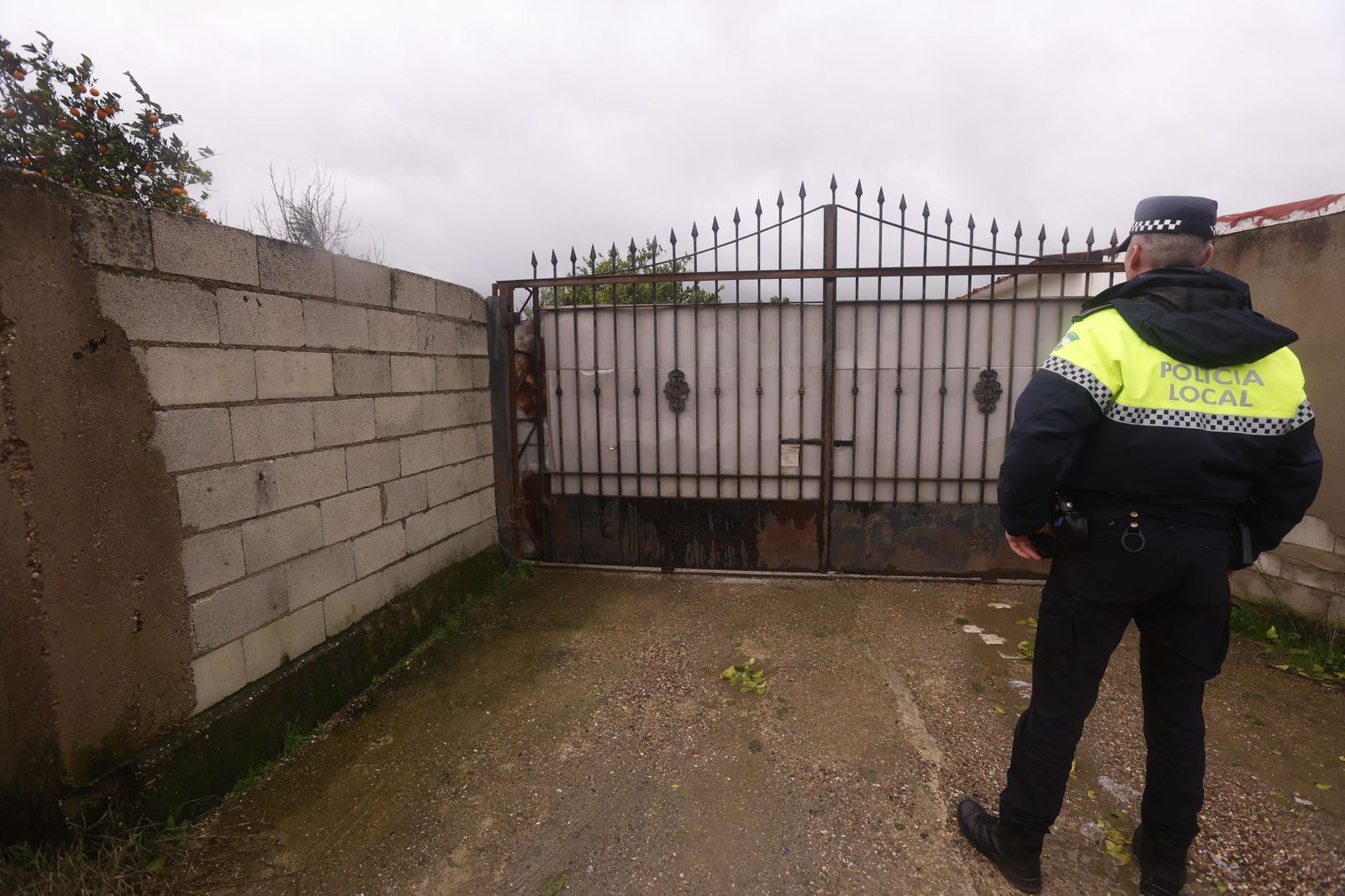 Los vecinos de Guadalvalle desalojan sus parcelas por la crecida del Guadalquivir, en imágenes