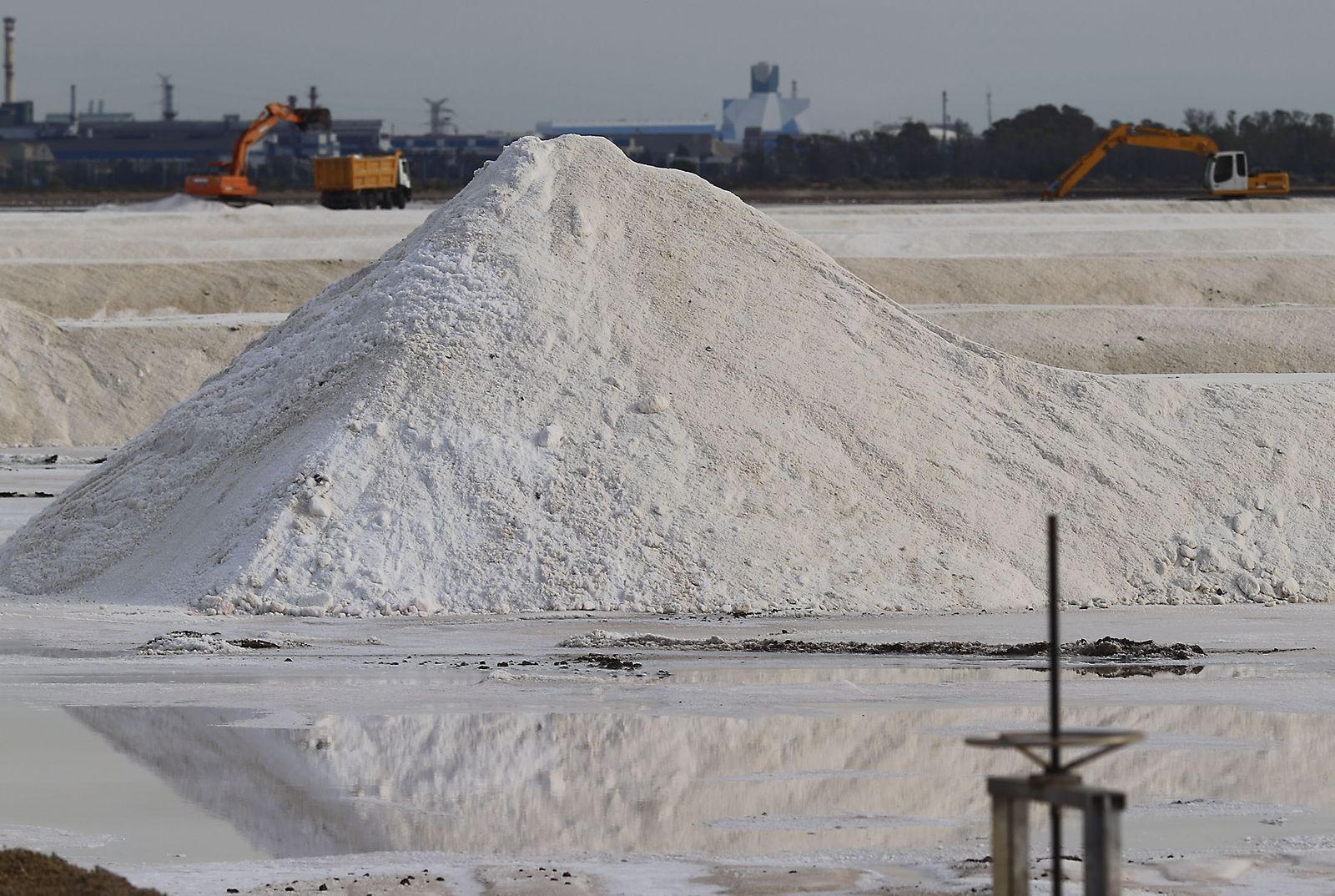 Paraje natural Marismas del Odiel, paraíso de Huelva entre salinas
