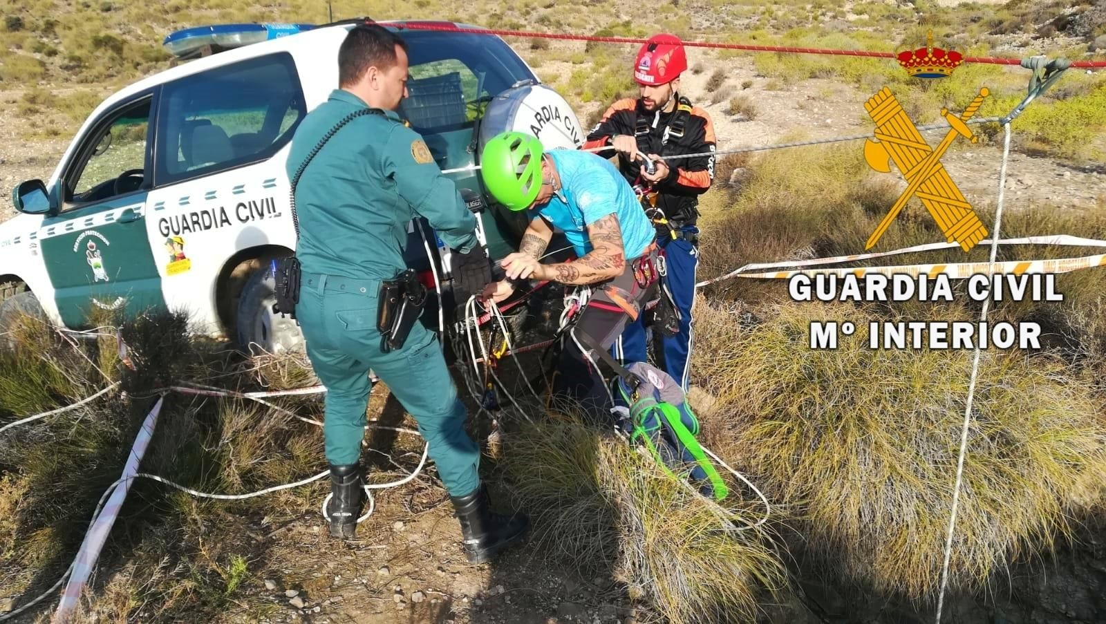Rescatan a un perro y cuatro jabalíes que cayeron a un pozo abandonado de diez metros en Níjar