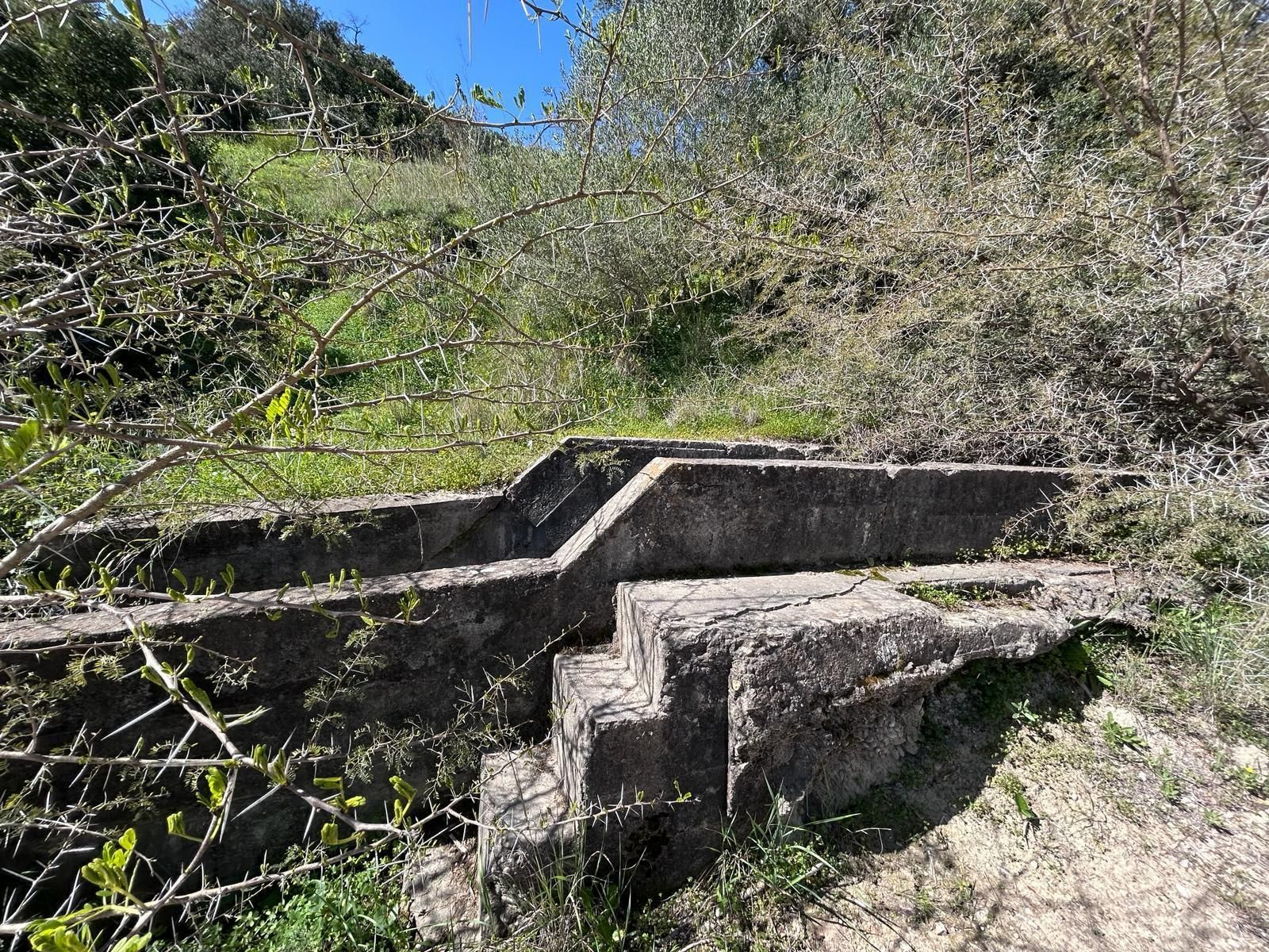 Sendero a las afueras de Jerez imperdible: una venta que da la bienvenida y culmina en una laguna