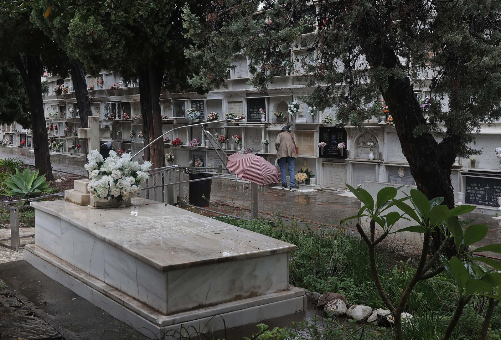Fotos de los preparativos para Tosantos en el cementerio de Algeciras