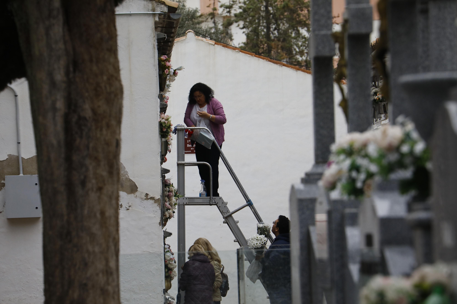 Las imágenes de los preparativos de los cementerios de Córdoba por el día de Todos los Santos