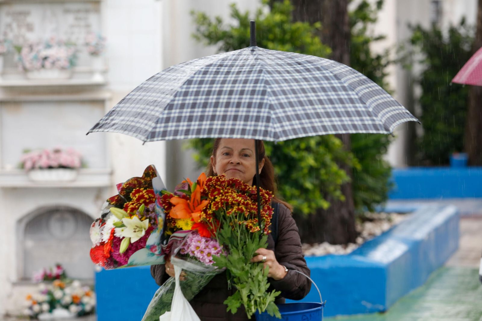 Fotos de los preparativos en el cementerio de La Línea por el Día de Todos los Santos