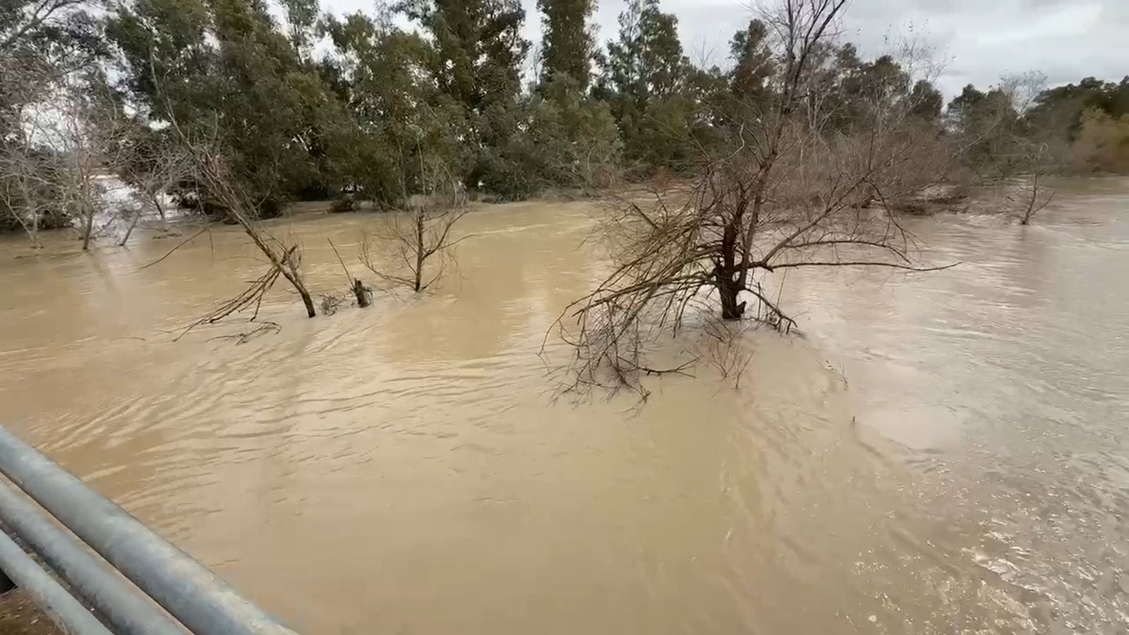 Así está la carretera CA-3110 en la zona rural de Jerez