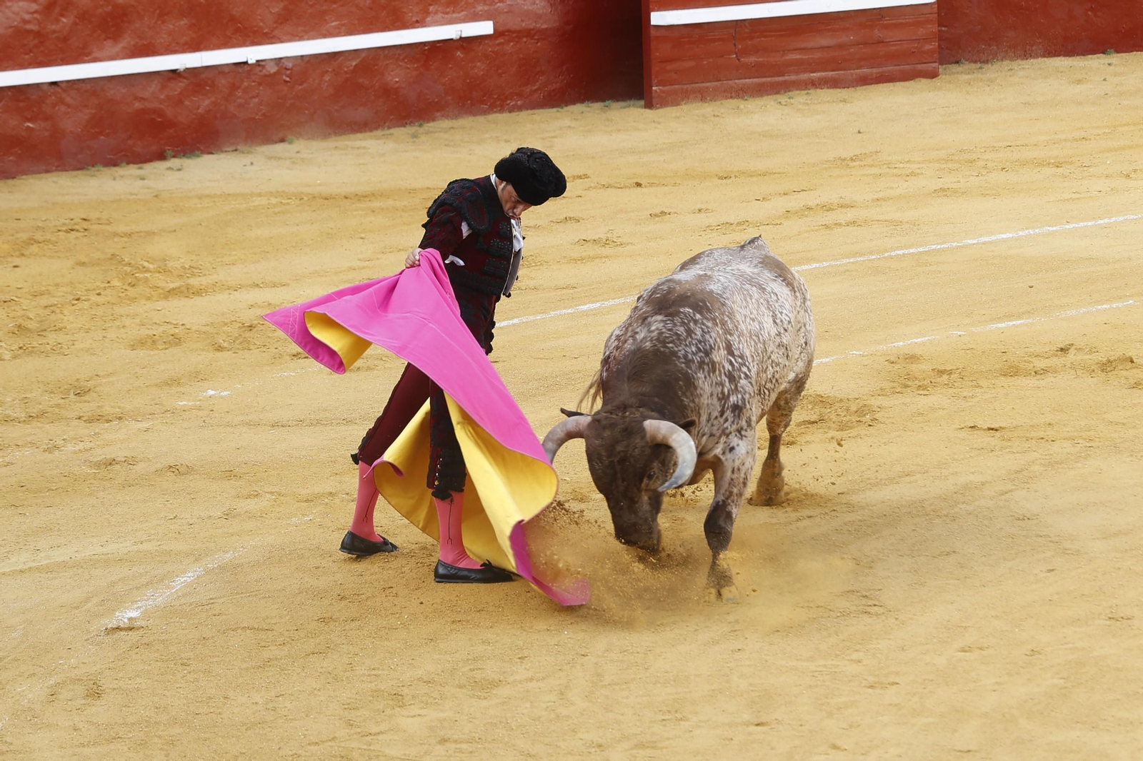 Las fotos de la corrida de toros de la Feria de San Roque