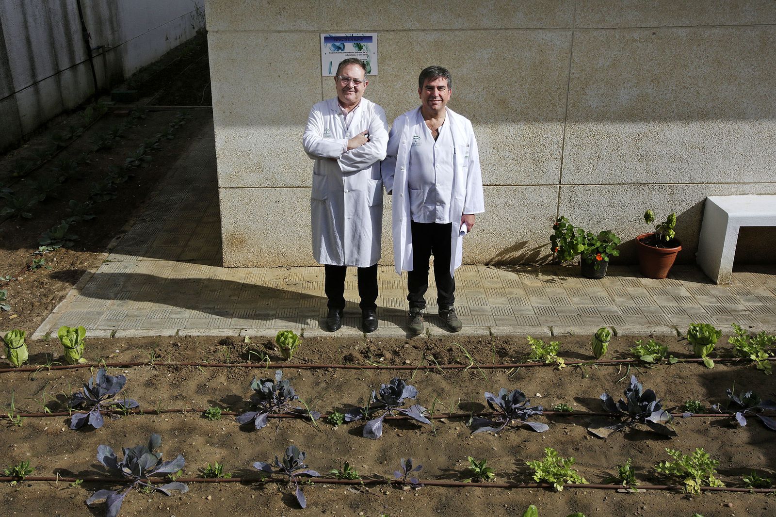 Unidad psiquiátrica del Clinico de Puerto Real