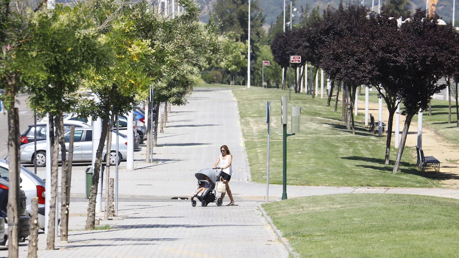 Zonas verdes del barrio Huerta de Santa Isabel.