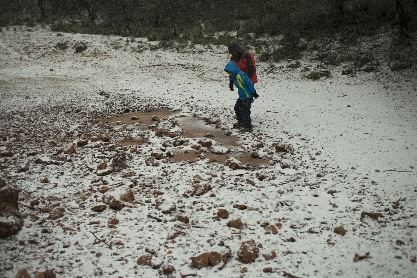 Nevada en el Parque Natural Sierra de las Nieves.
