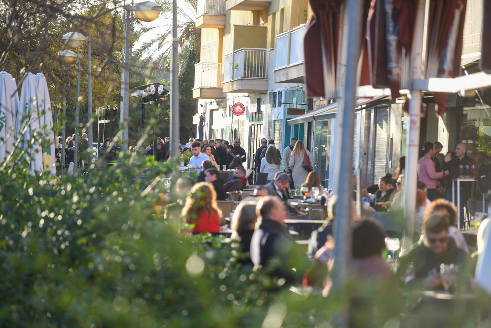 La Tardevieja en Córdoba para despedir 2025, en imágenes