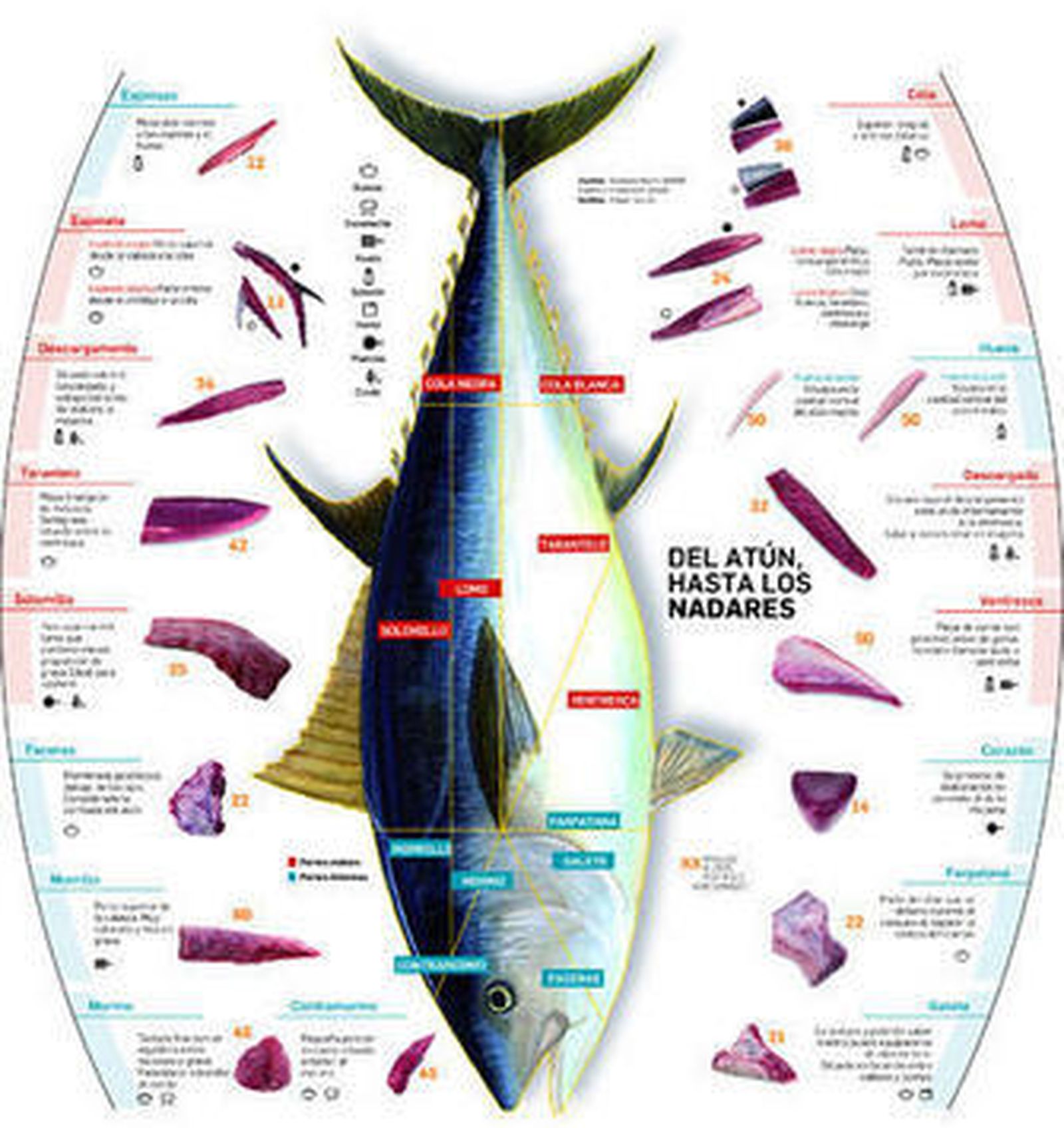 Un trabajador, en la primera levantá del atún en Barbate.