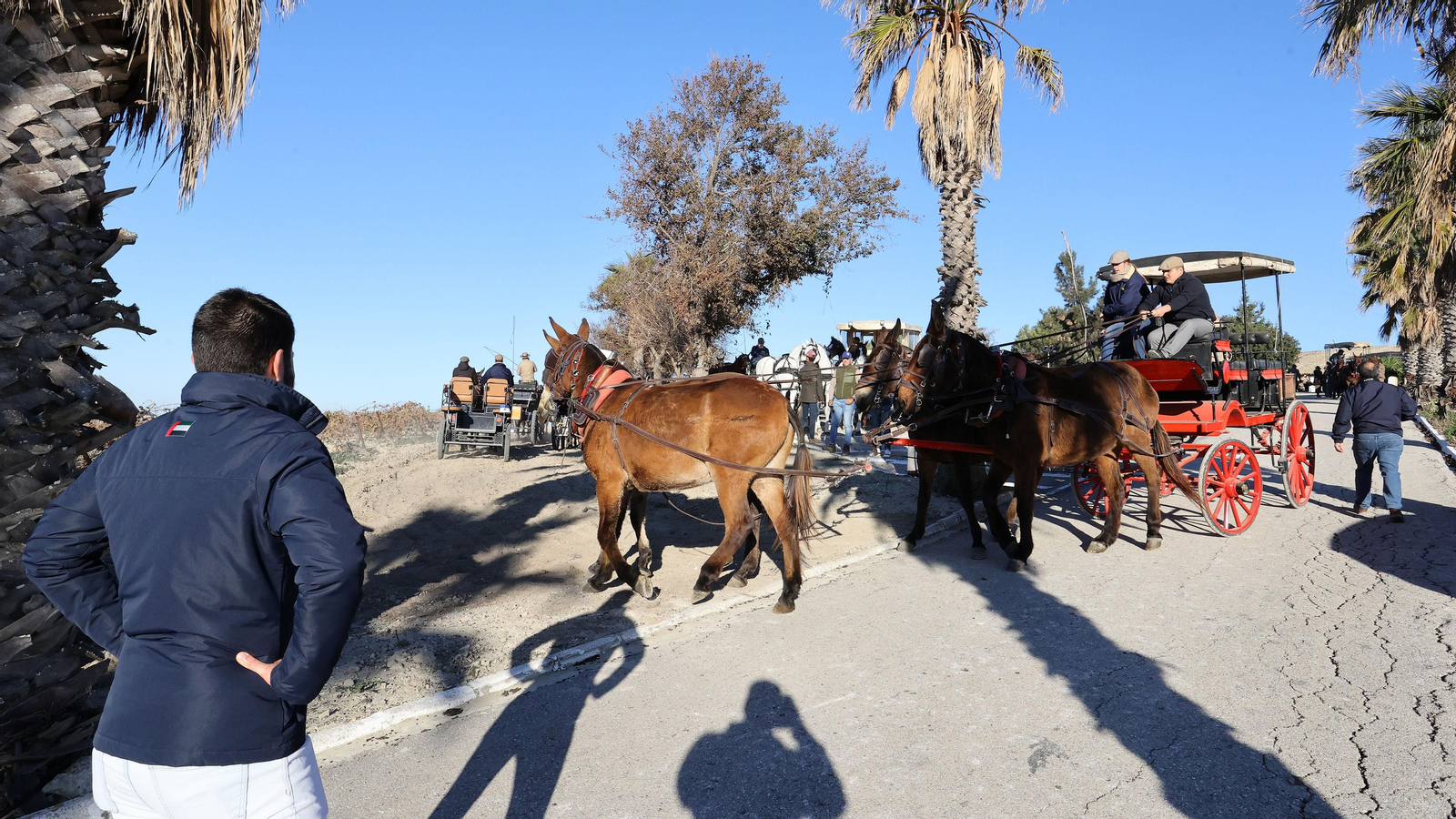 II Ruta Viñas de Jerez