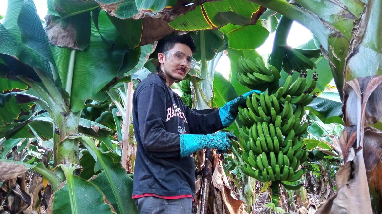 La convocatoria Más Empleo cuenta con una dotación de más de 48 millones de euros