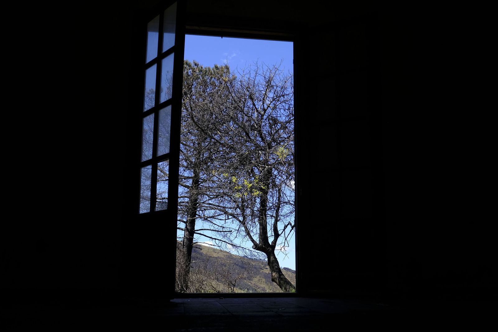 Así se recupera Sierra Bermeja tras el incendio (fotos)