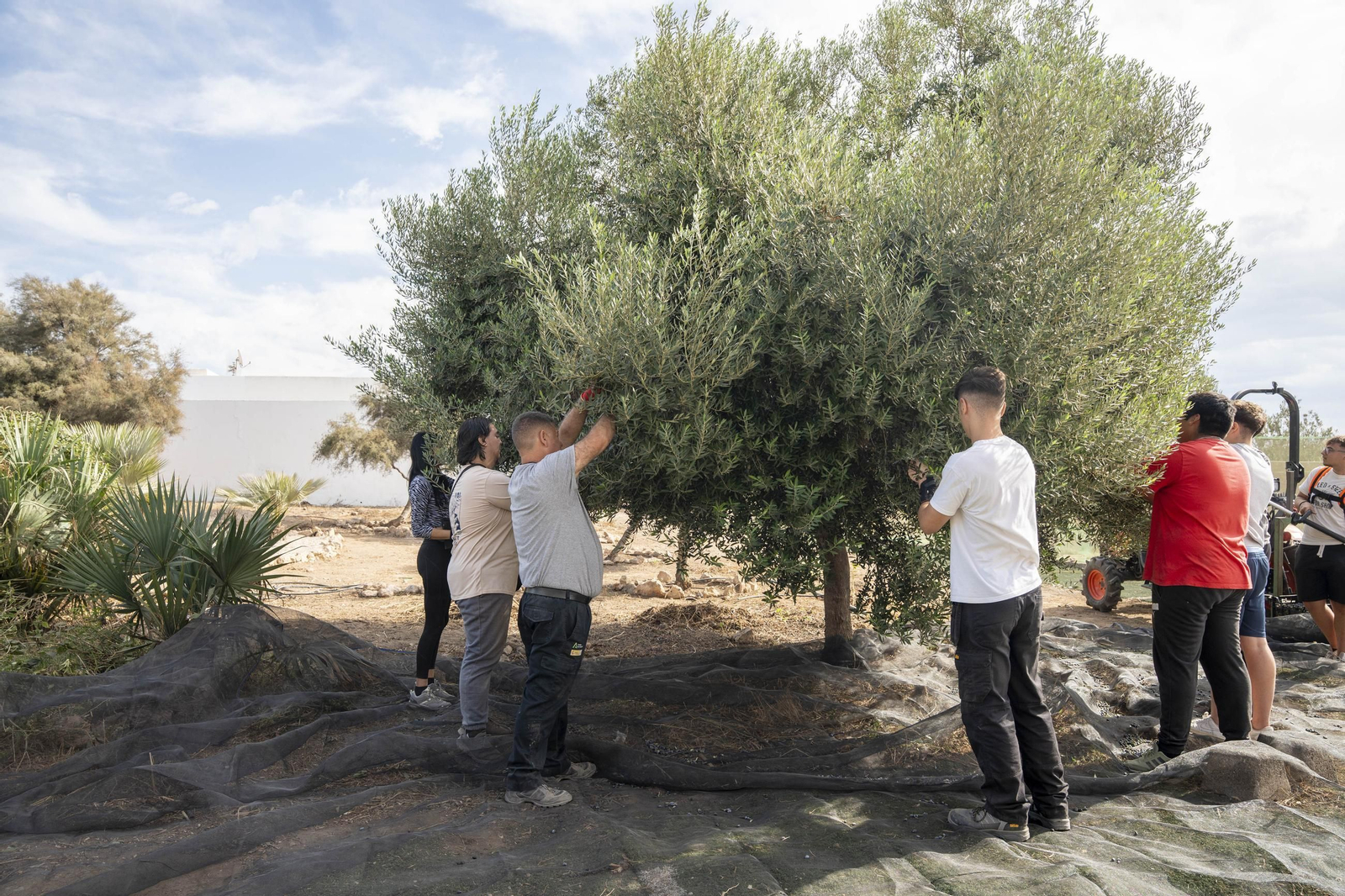 Visitamos el IES Sol de Portocarrero de La Cañada de San Urbano para ver las nuevas infraestructuras para FP en los centros educativos de la provincia de Almería, en imágenes
