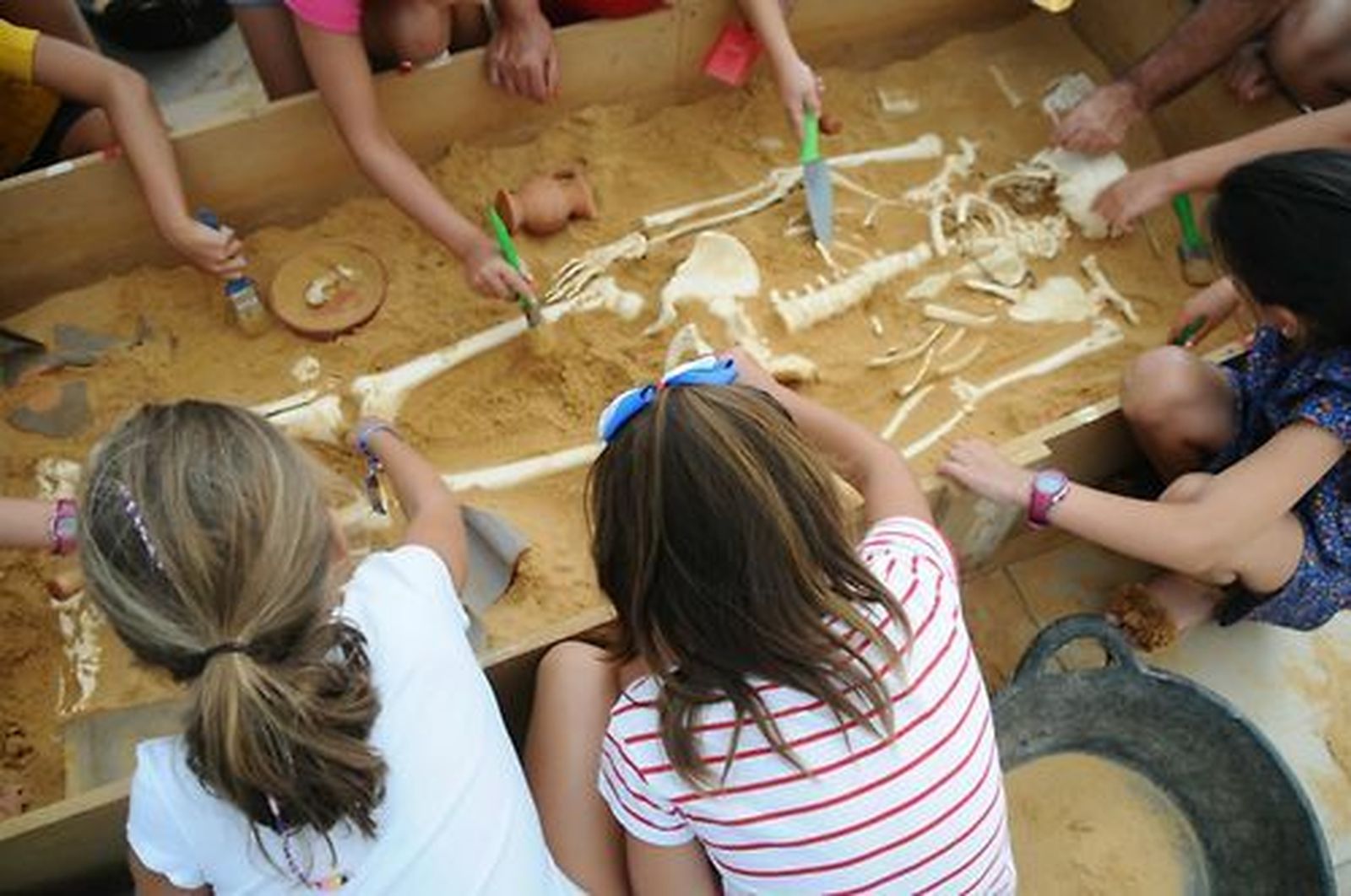 El contacto directo con reproducciones facilita el aprendizaje lúdico.