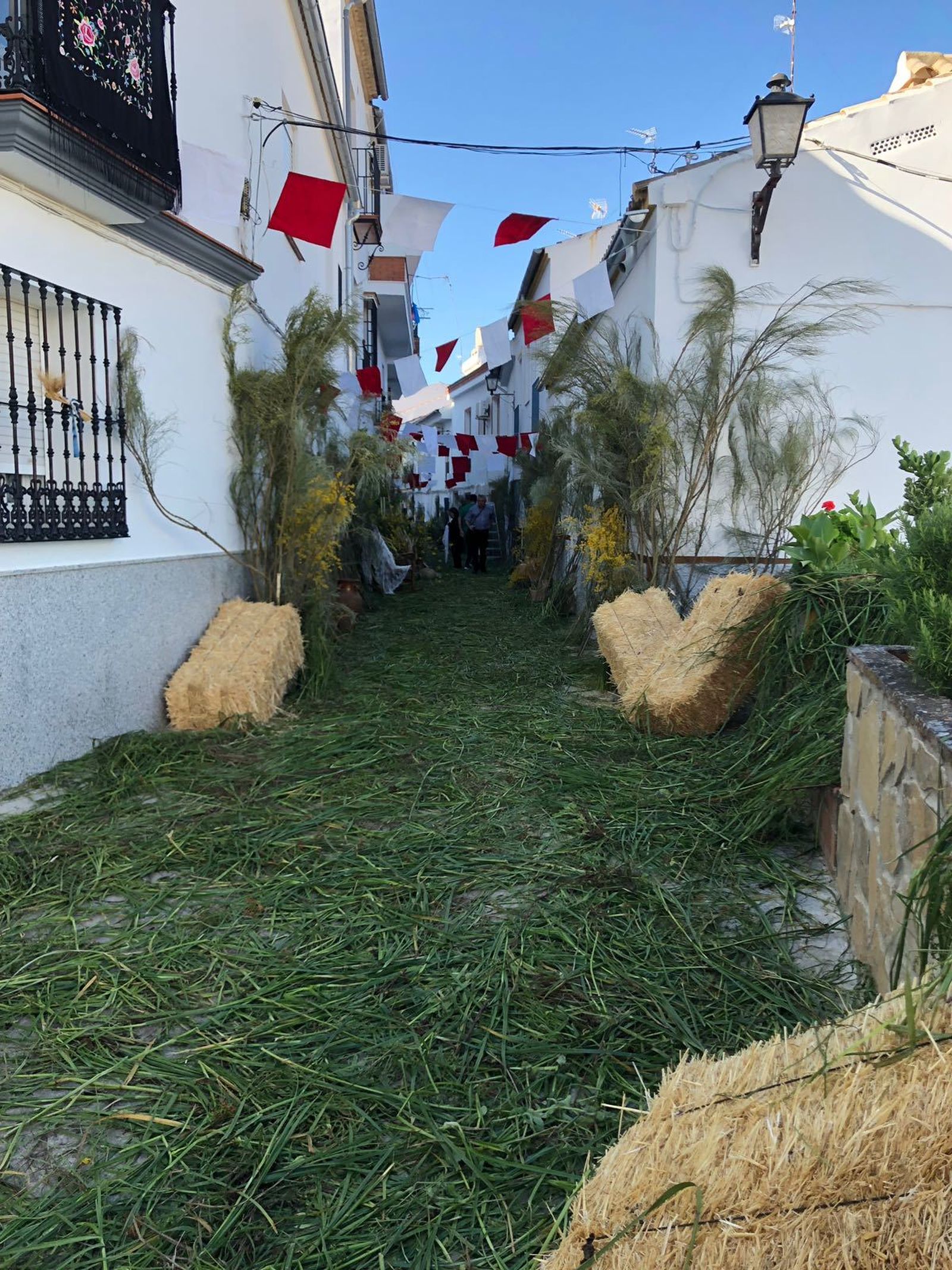 Imágenes del Corpus en Torre Alháquime