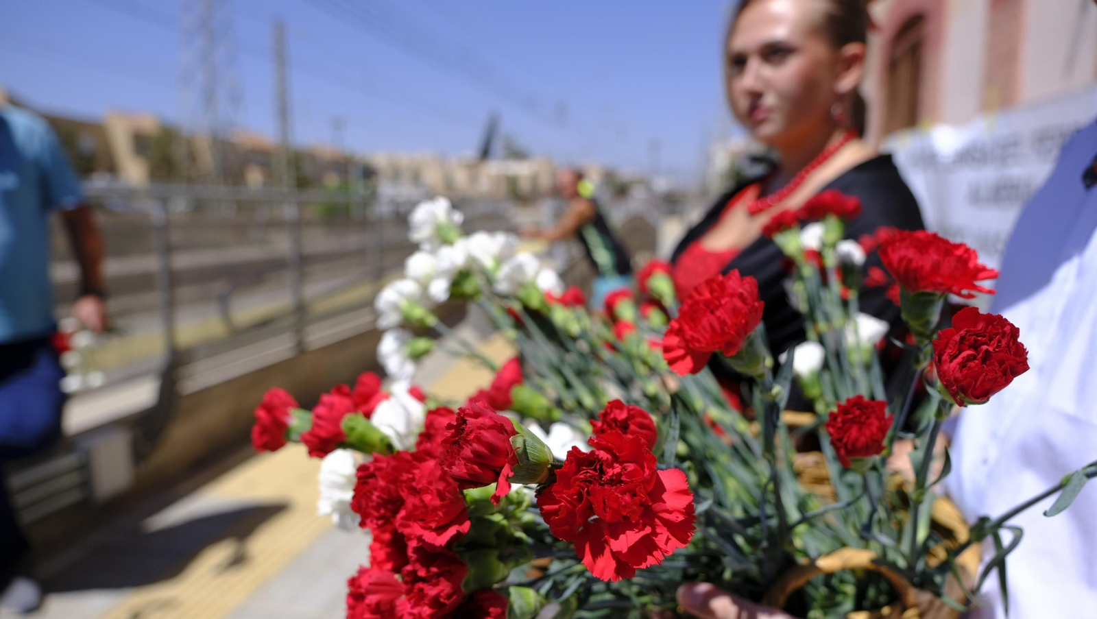 Claveles en defensa del tren en la provincia de Almería, en imágenes