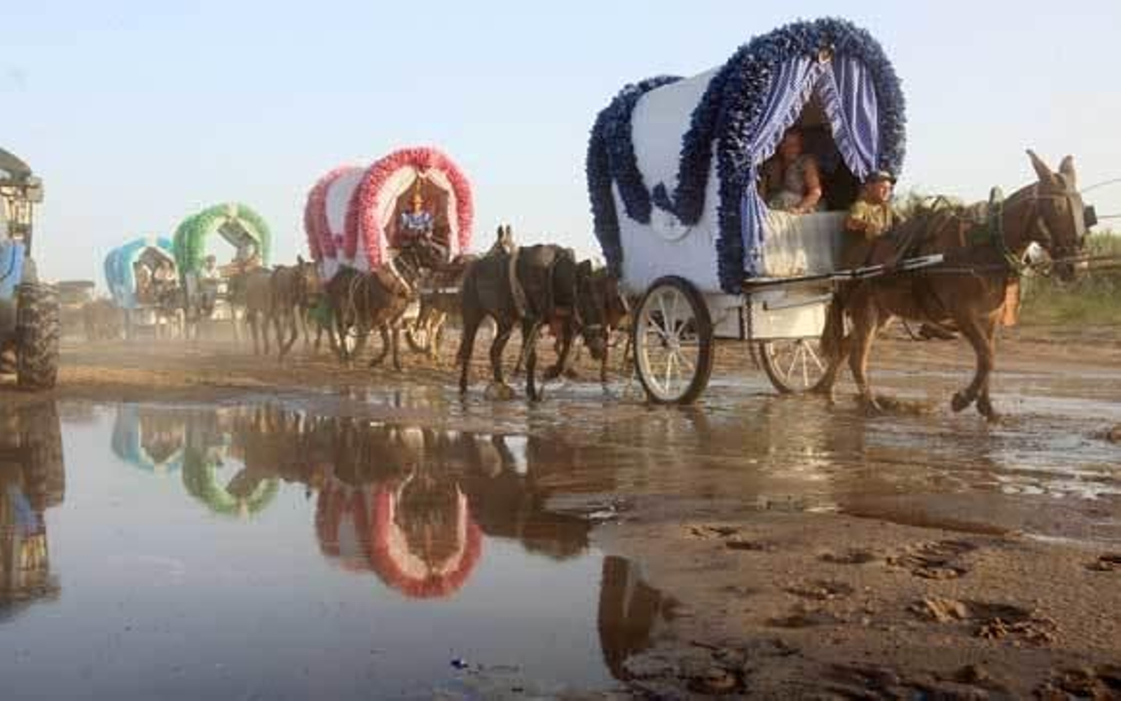 Carros de la hermandad de Jerez durante la romería del año 2010 pasando por los peligrosos charcos de agua que se forman en la Raya. Carros de la hermandad de Jerez durante la romería del año 2010 pasando por los peligrosos charcos de agua que se forman en la Raya.