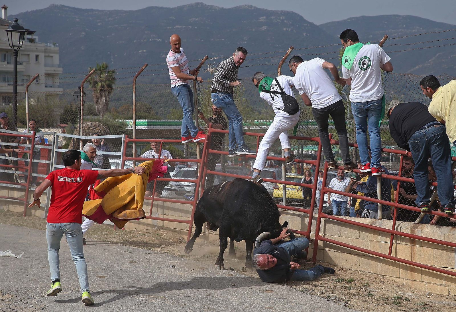 Fotos del Toro Embolao en Los Barrios