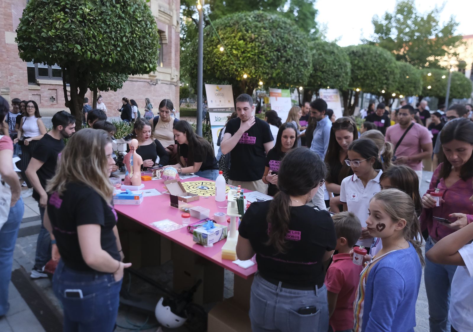 La celebración de la Feria de los Ingenios de Córdoba, en fotografías
