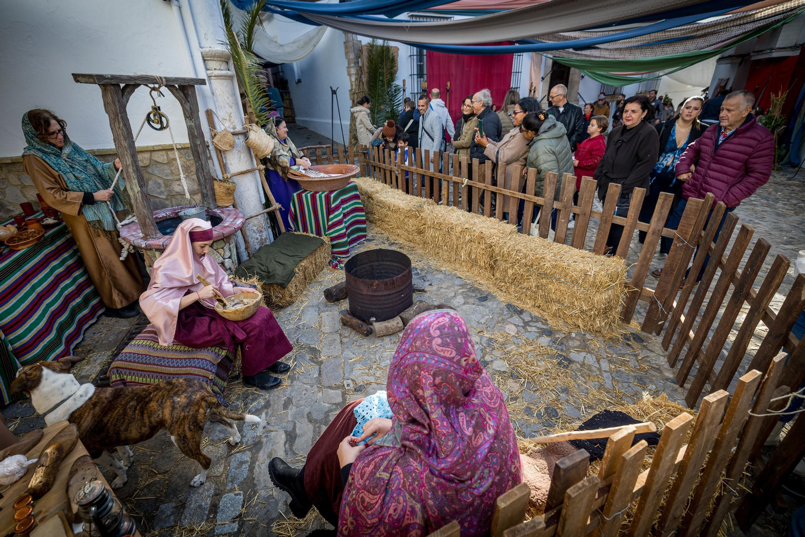 Las imágenes del belén viviente de Medina 2025