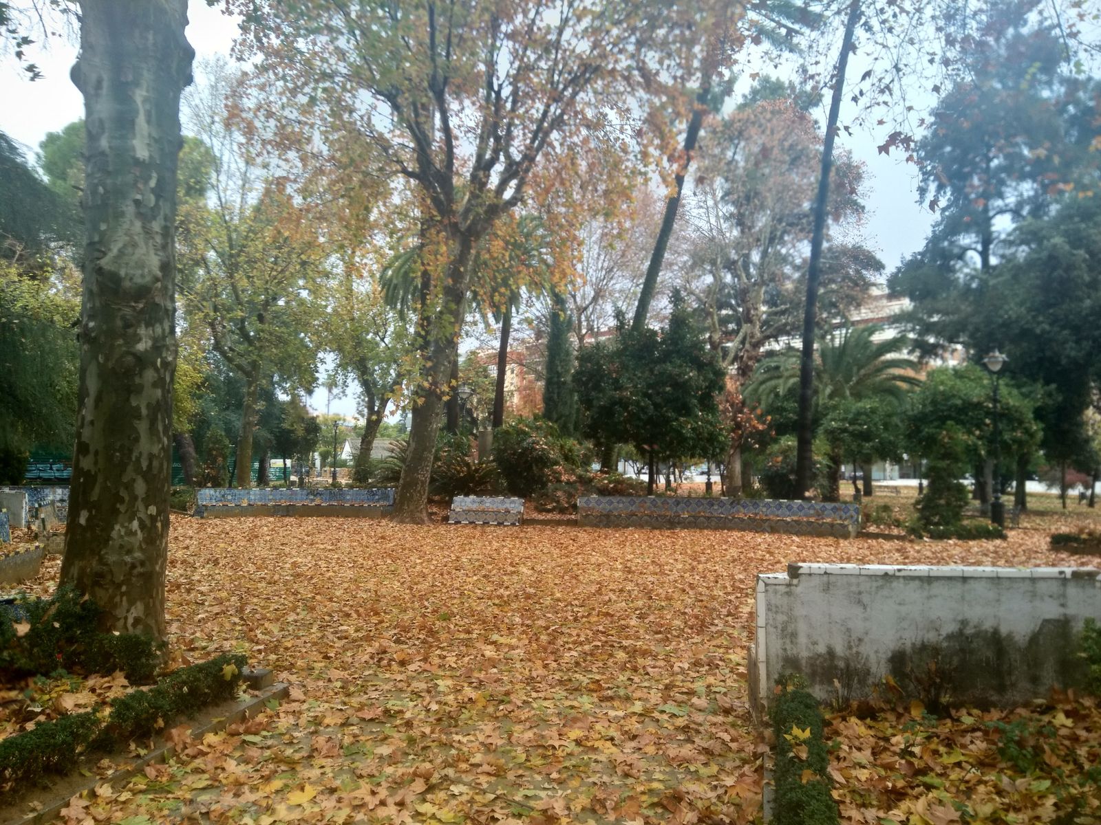 El rastro del otoño en Córdoba