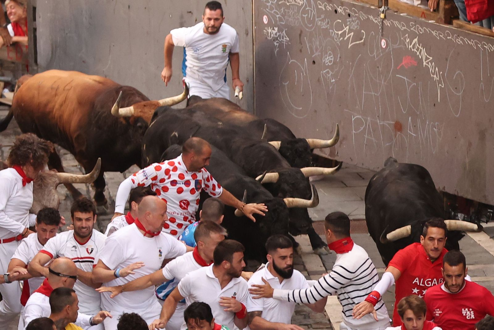 Las imágenes de los toros de Jandilla en los sanfermines