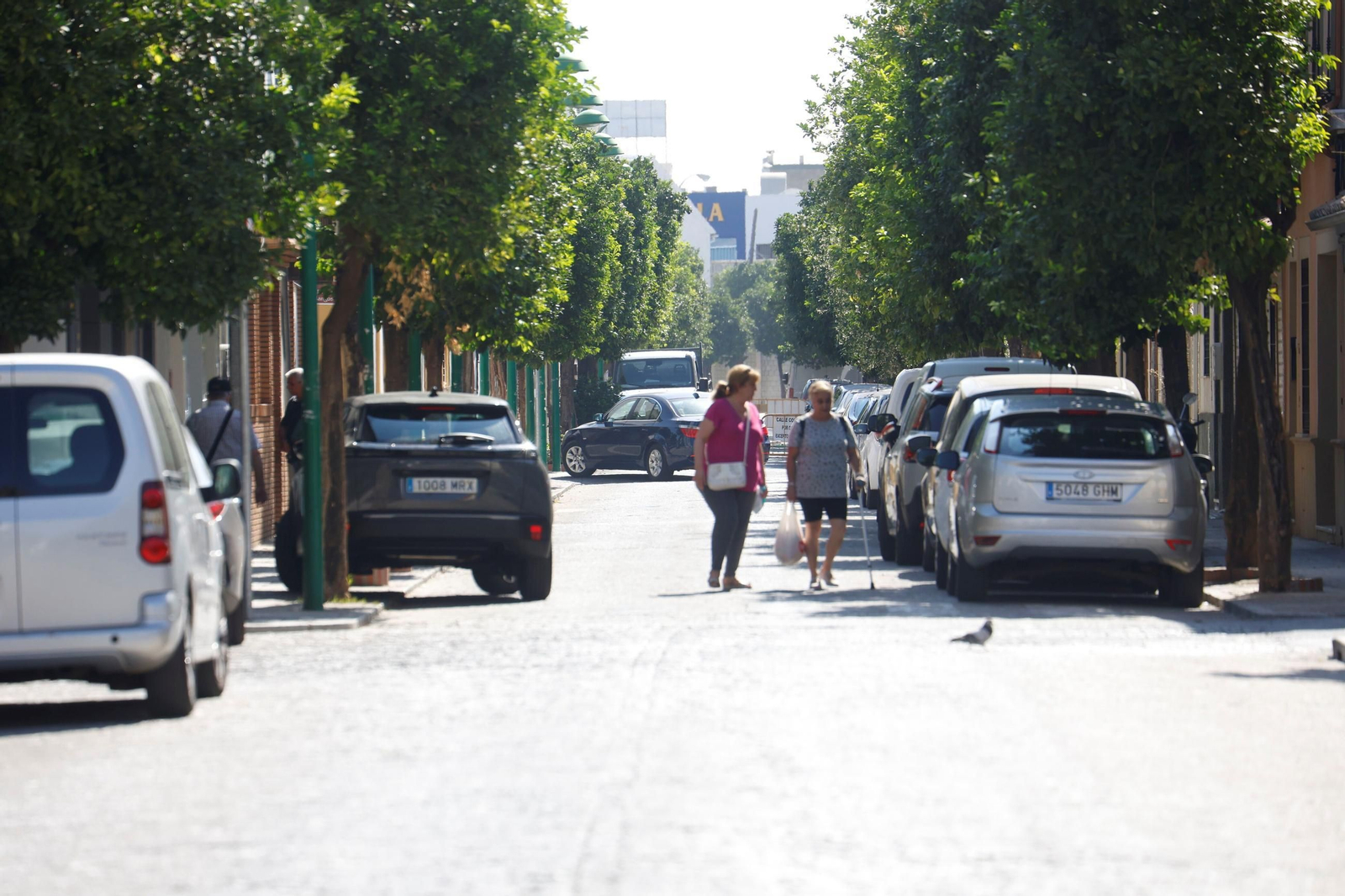 Un paseo en imágenes por el barrio cordobés de Cañero en un día de verano
