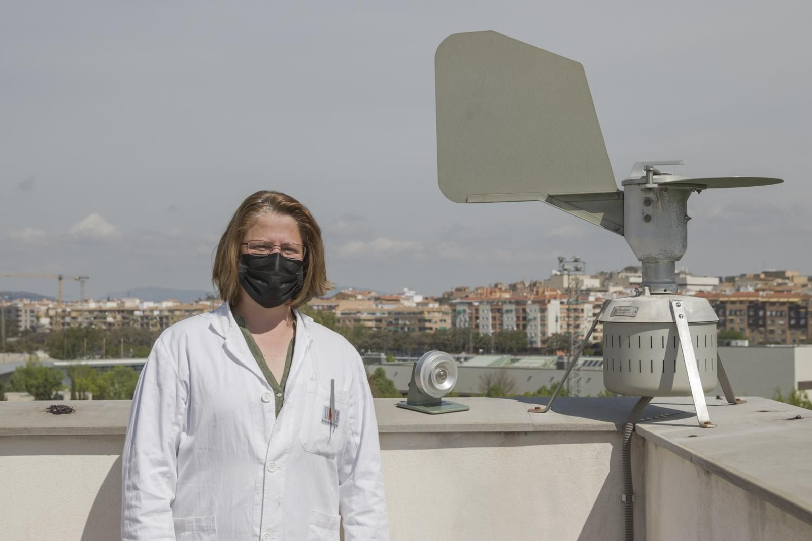 Concepción de Linares.