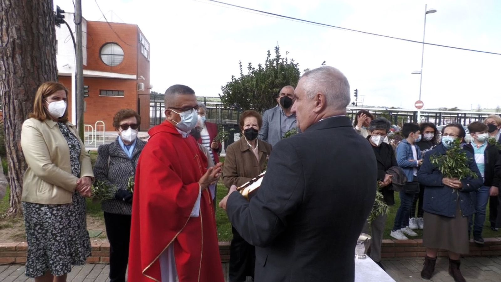 Las fotos del domingo de palmas y olivos en San Roque