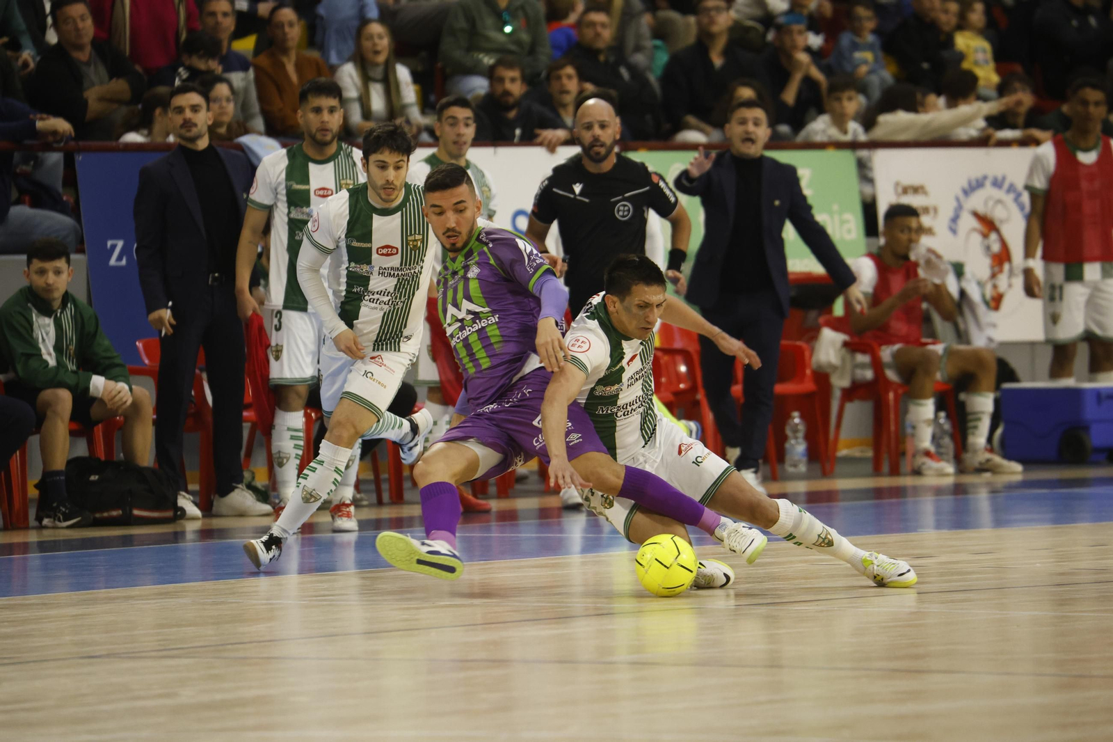 Las mejores fotos del ambiente en Vista Alegre para el Córdoba Futsal - Palma.