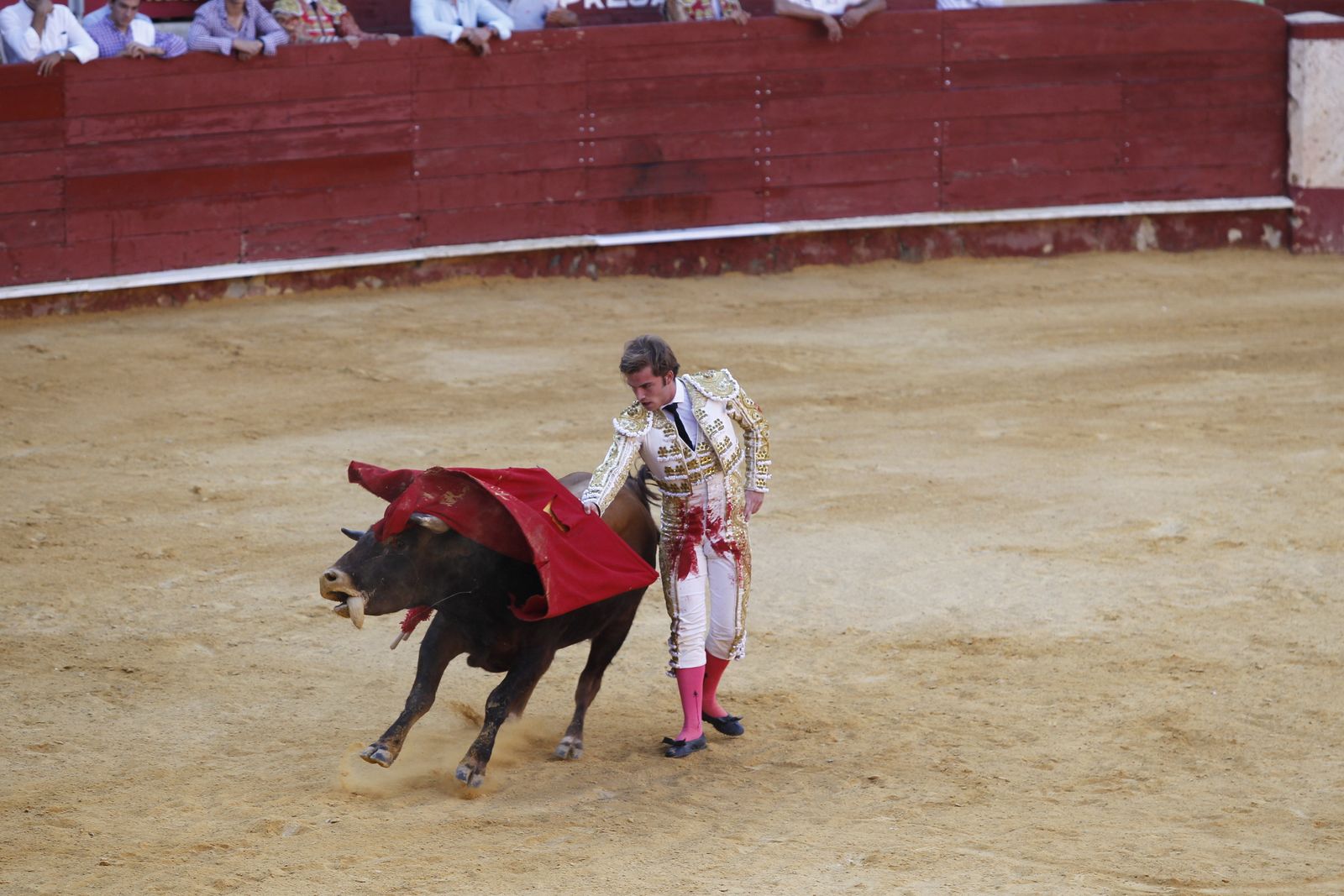 Fotogalería novillada Escuela Taurina de Almería. Feria de Almería 2019