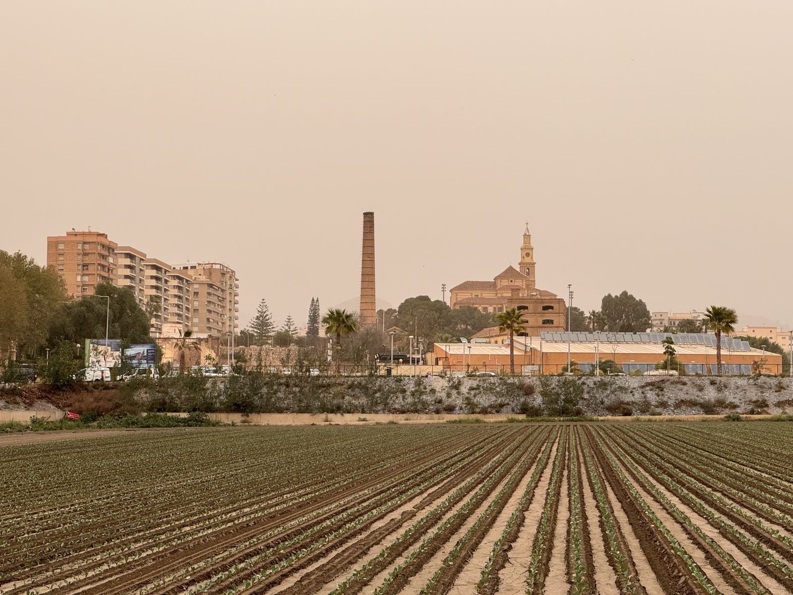 La calima tiñe la Costa de sepia dos años después