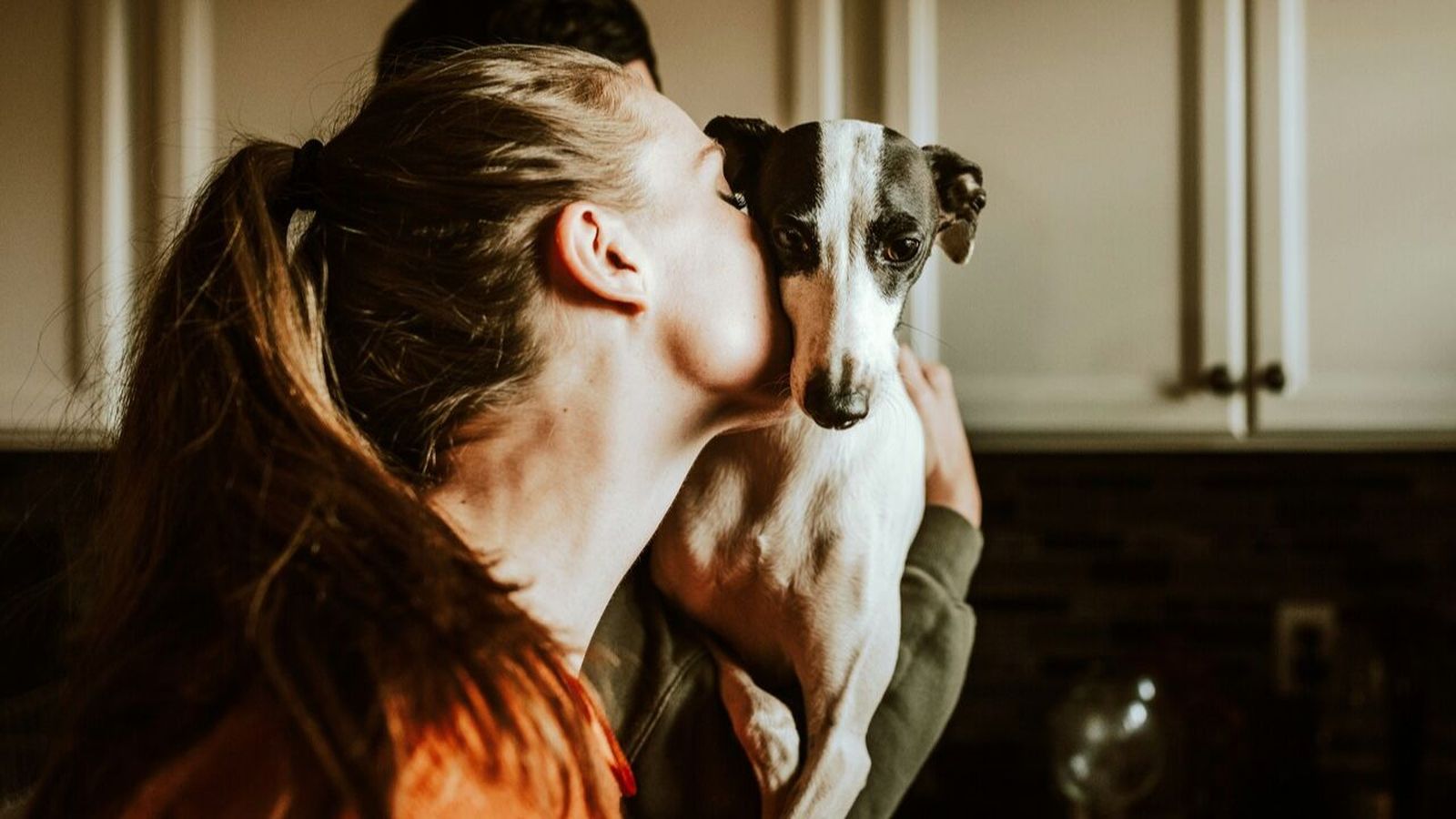 Seguro para mascotas: Cómo elegirlo y qué coberturas incluye