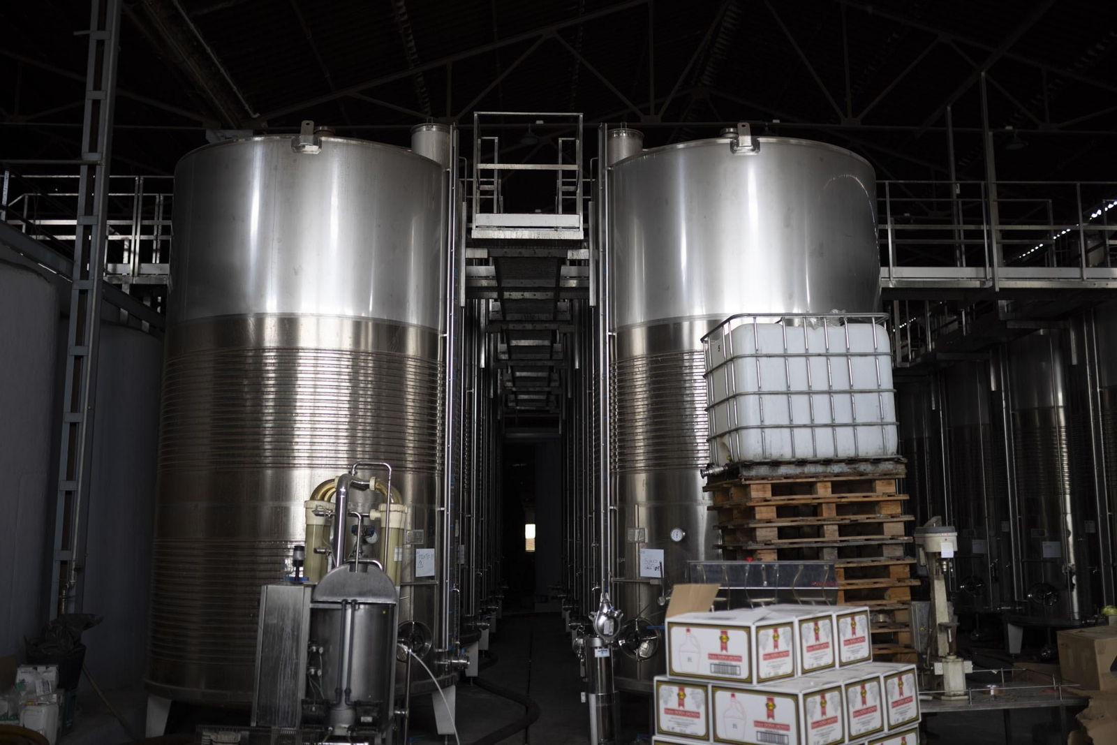 Imágenes de la vendimia en el Condado de Huelva