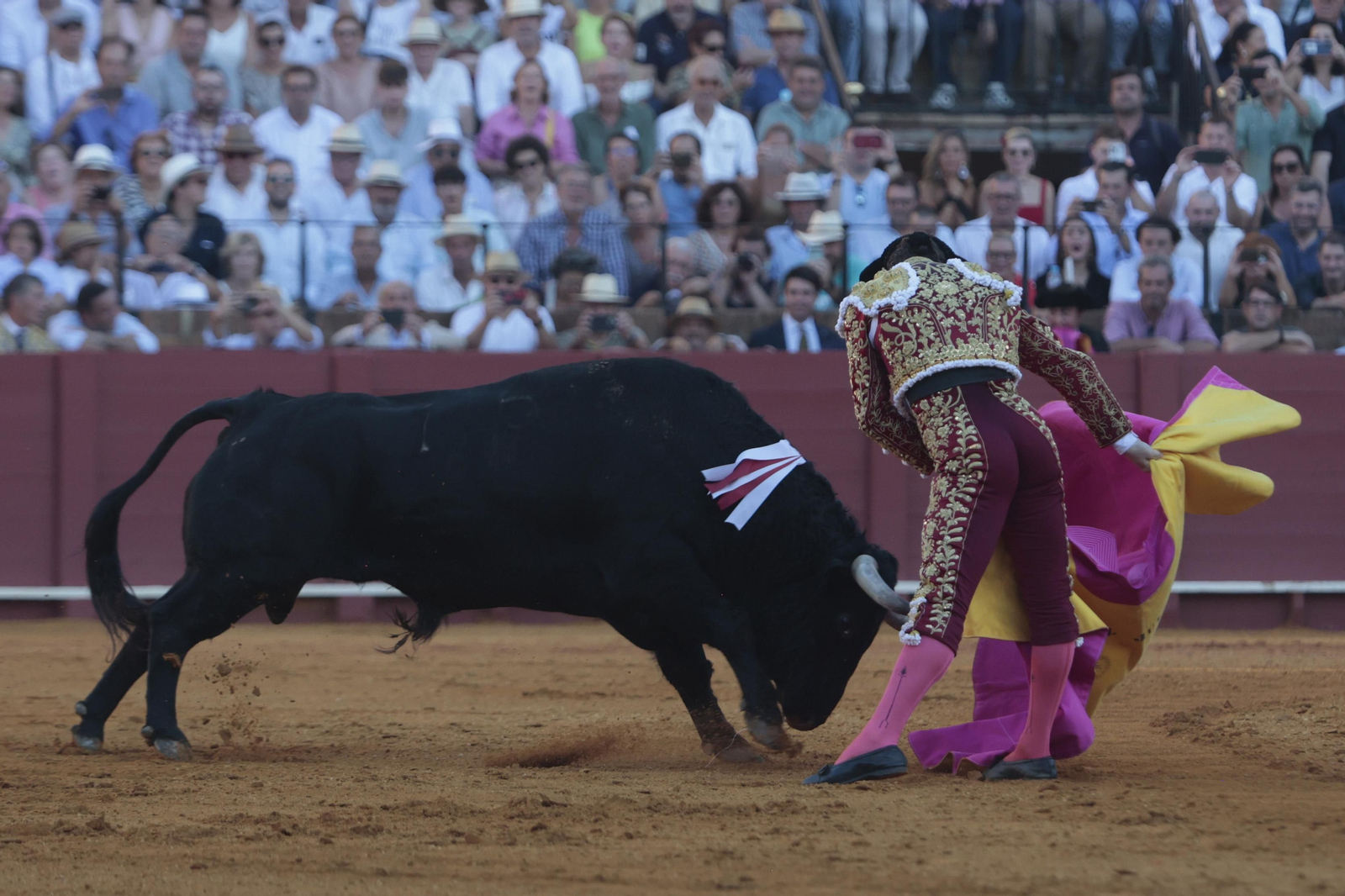 Las imágenes del festejo
